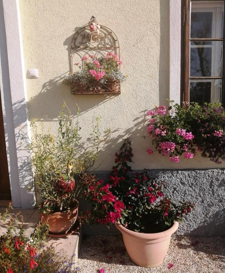 Penzion Marta'S House Bled Exteriér fotografie